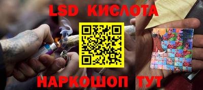 крисы Кандалакша