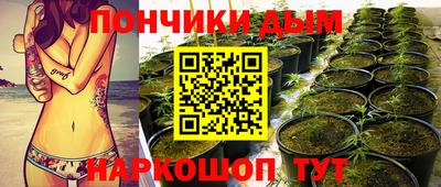 не бодяженный Камышлов