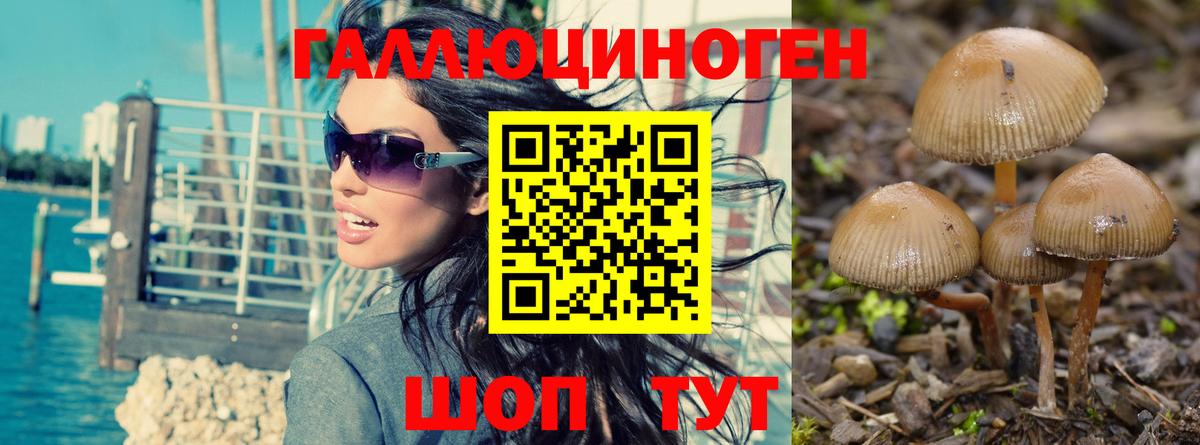 Галлюциногенные грибы Magic Shrooms  Вход с VPN  Ярославль 